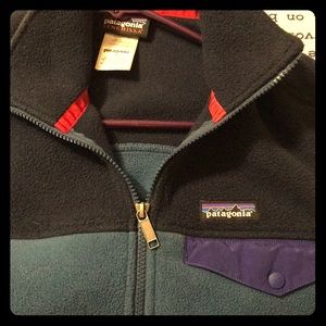 Patagonia Synchilla Snap Vest